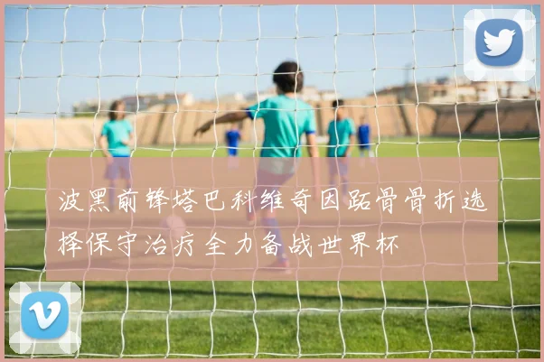 波黑前锋塔巴科维奇因跖骨骨折选择保守治疗全力备战世界杯